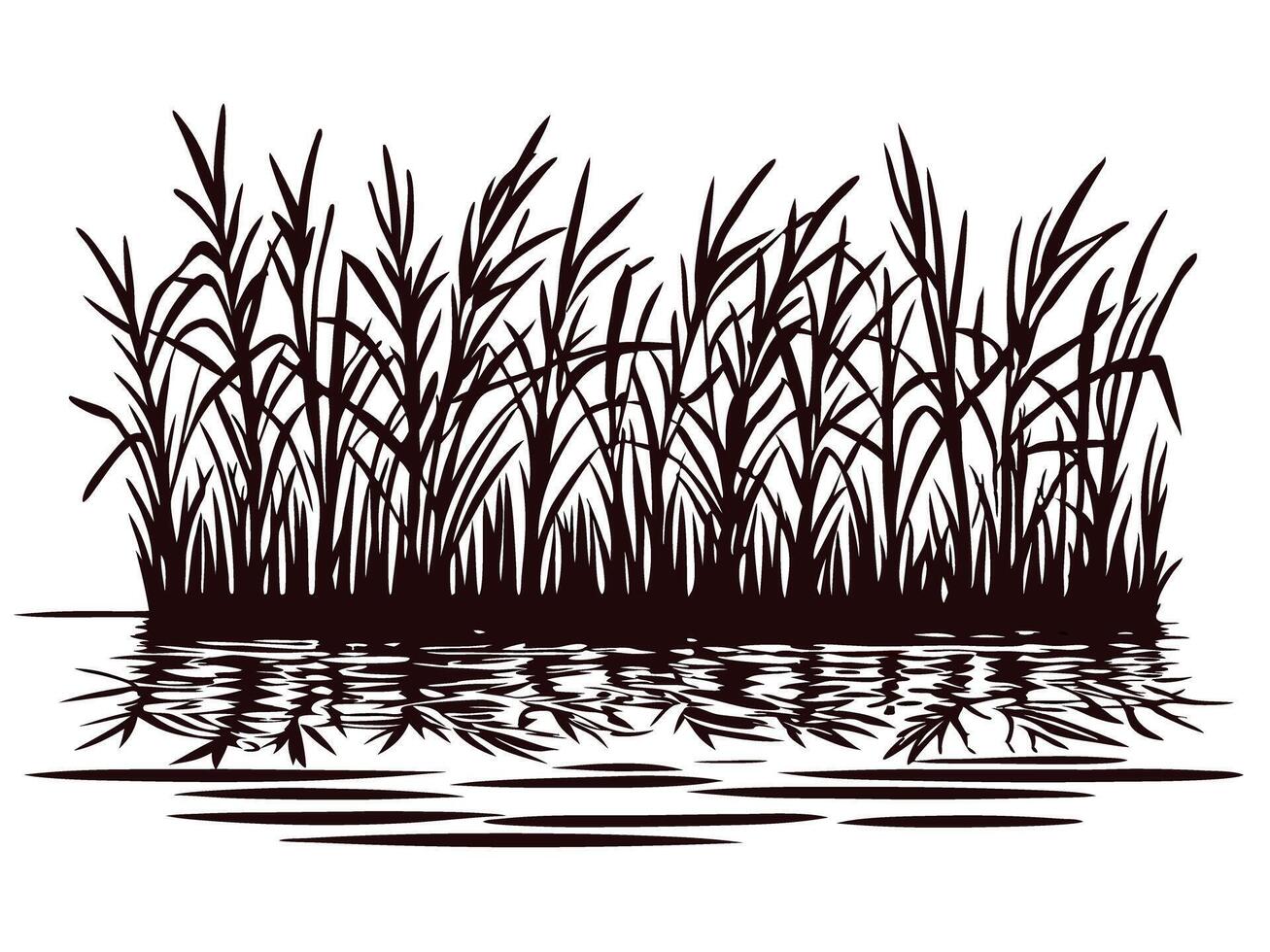Silhouette of tall reeds reflected in calm water at sunset vector