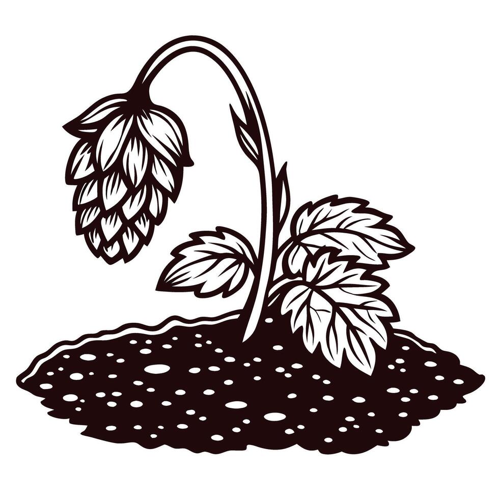 of hop plant with drooping blossom and leaves in soil vector