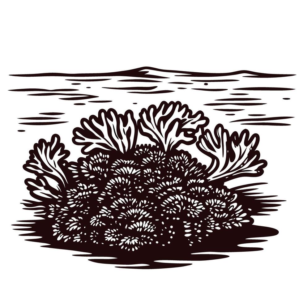 Intricate line art of lush ocean coral reef with waves in background vector