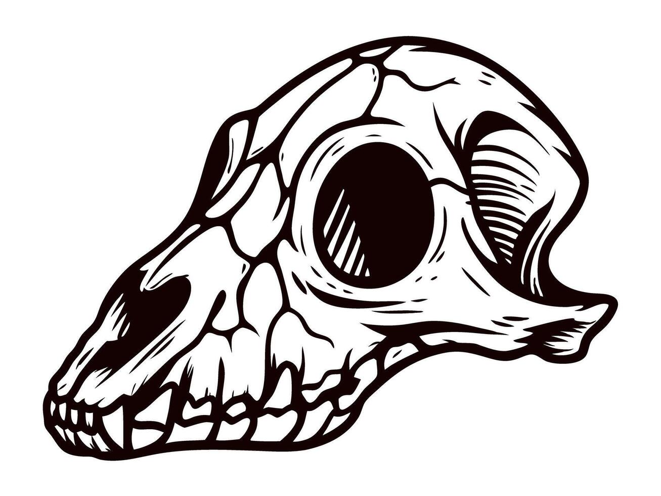 Illustrated animal skull in detailed black and white line art vector