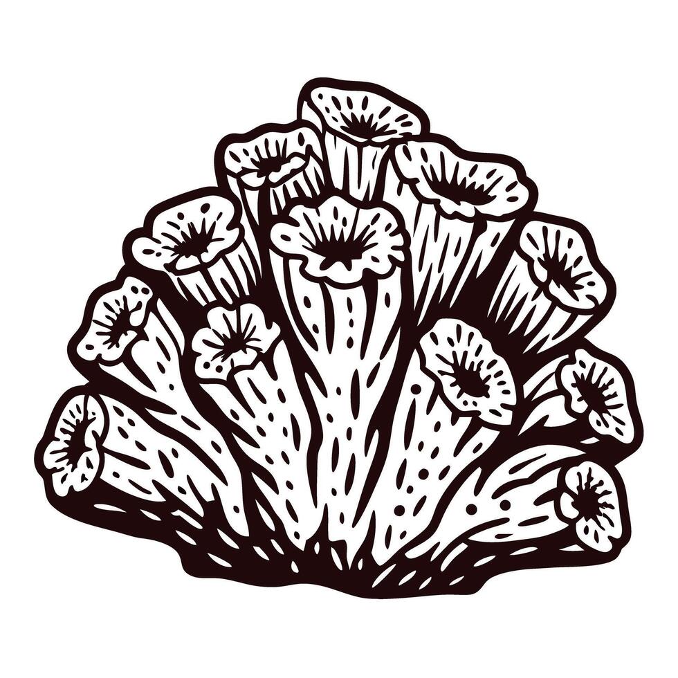 Detailed line art of coral reef structure with organic patterns and sea life elements vector