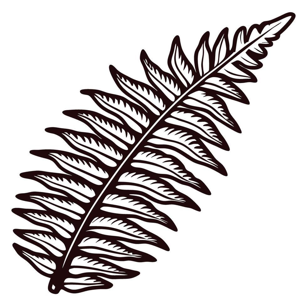 Intricate black and white of a fern leaf highlighting nature's elegance vector
