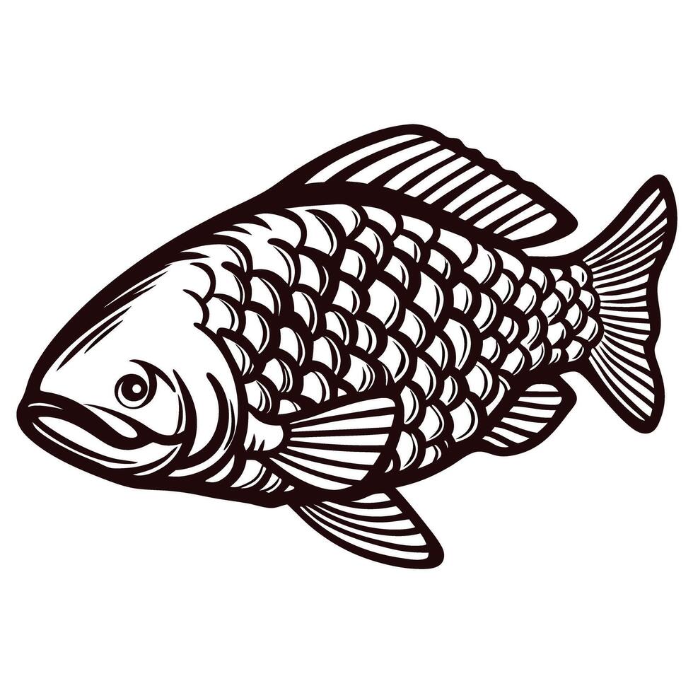 Black and white of a detailed fish with scales and fins vector