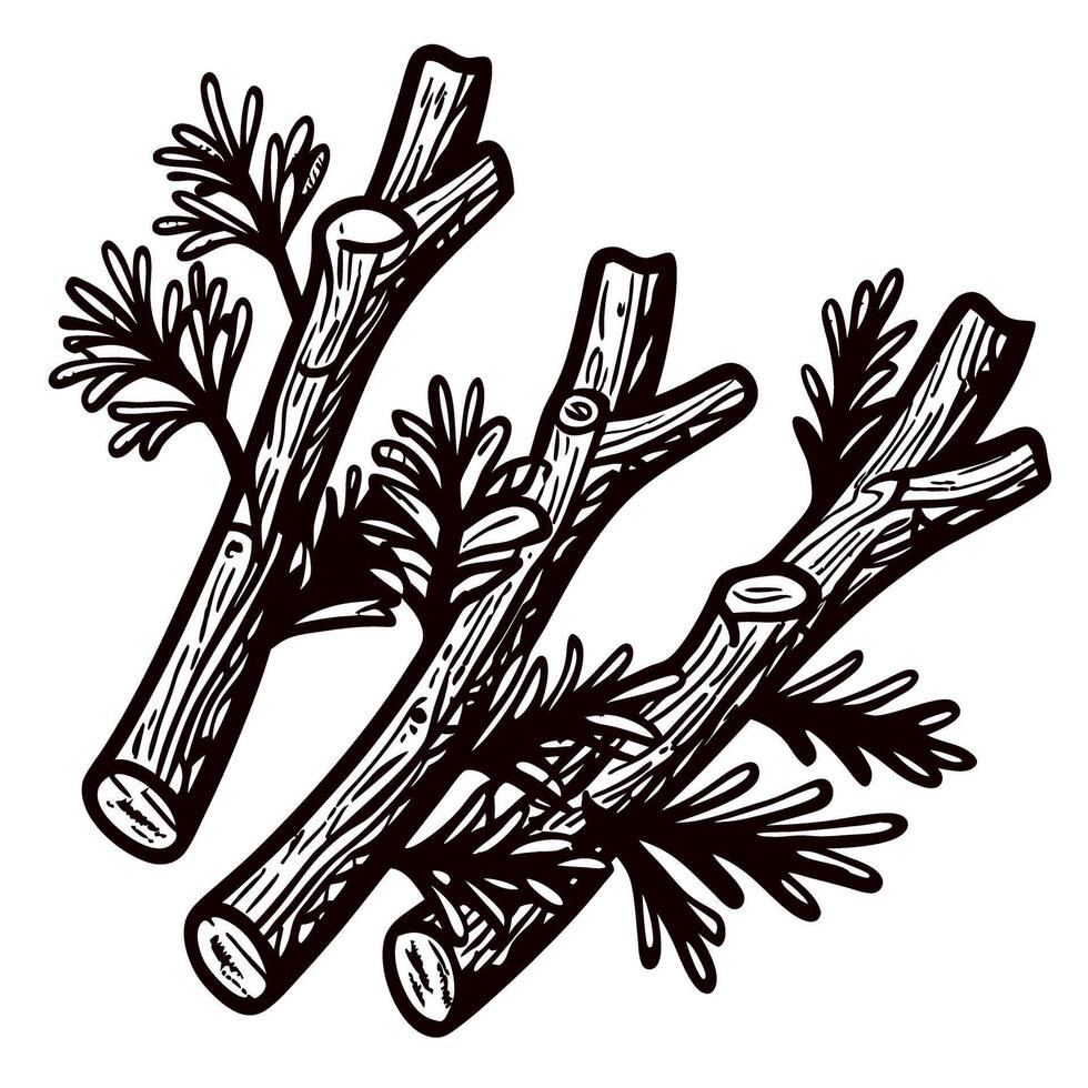 Abstract botanical of monochrome wooden branches with leaves vector