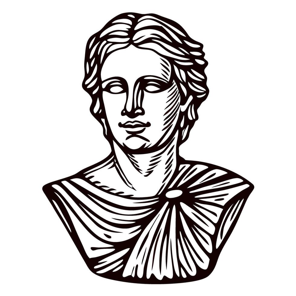 Classical bust sculpture of a masculine figure with detailed features in monochrome vector