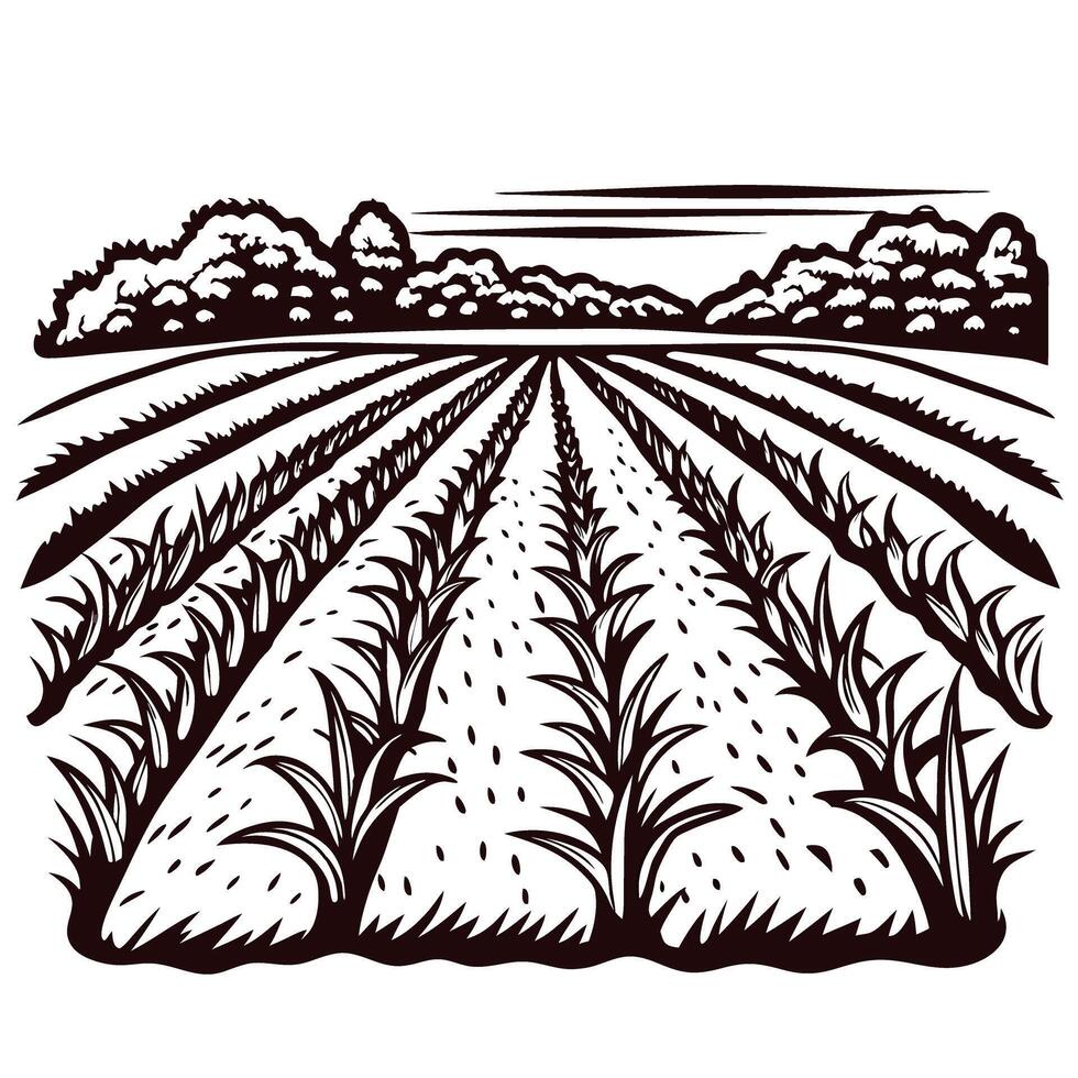 Rows of crops in a rural landscape with trees at the horizon in black and white artwork vector