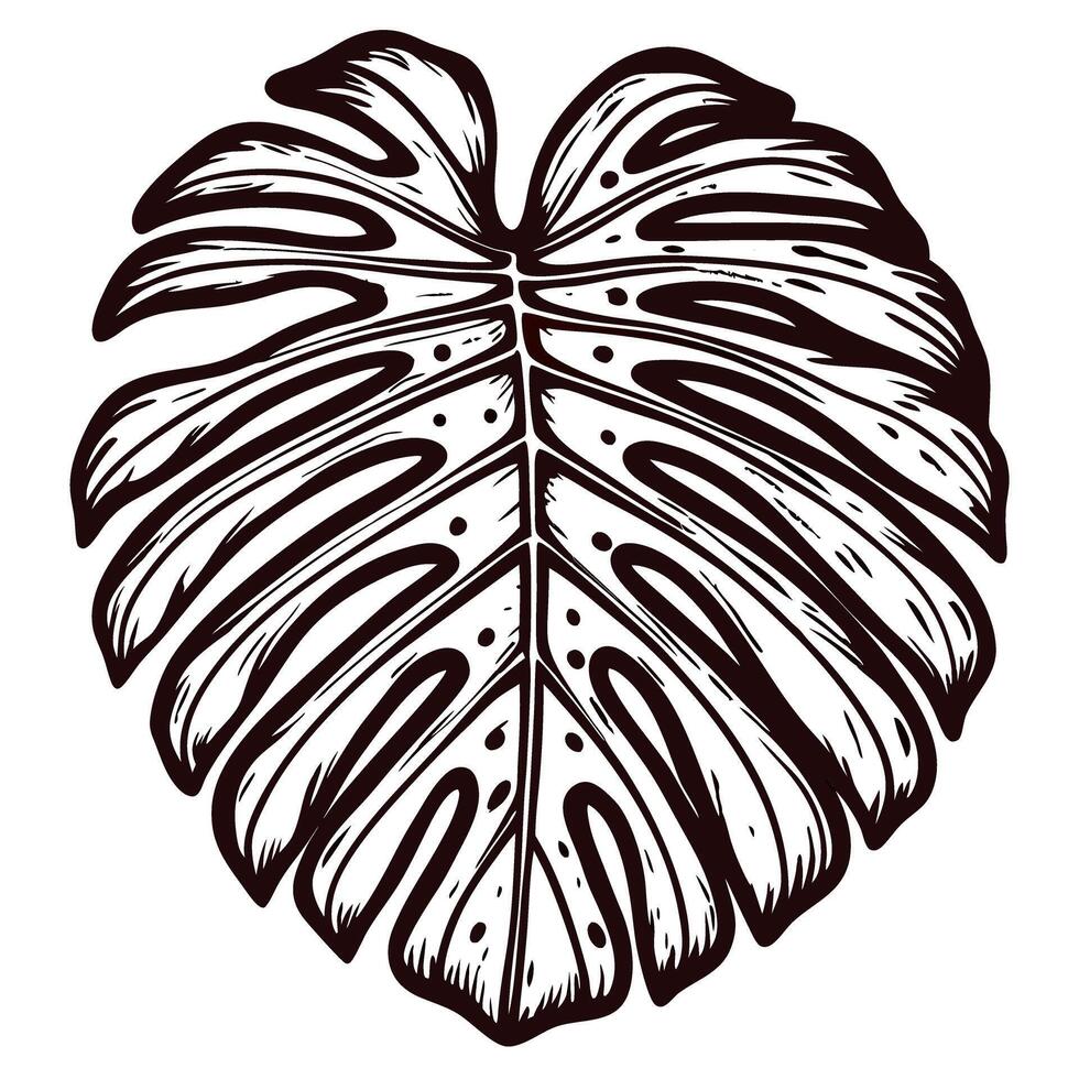 Detailed black and white monstera leaf with intricate patterns and negative space design vector