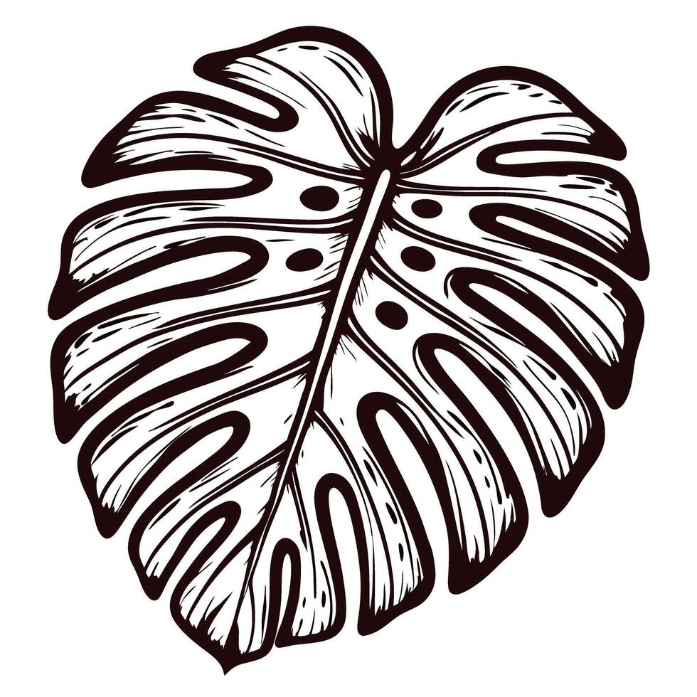Intricate black and white drawing of monstera leaf with detailed patterns in natural design vector
