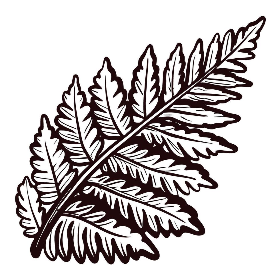 Detailed black and white fern leaf with intricate patterns and texture vector