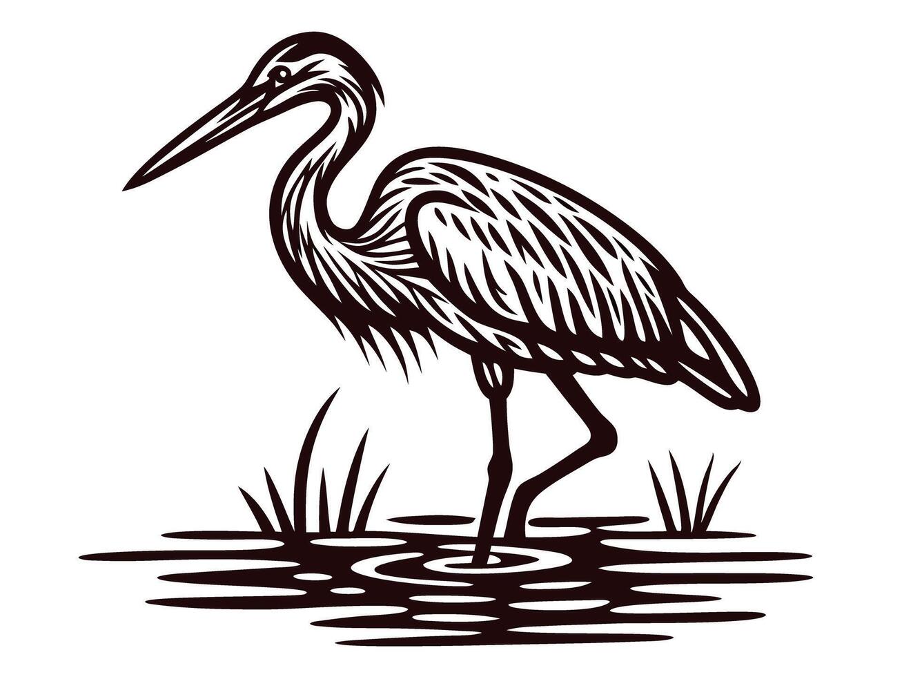 Detailed heron elegantly standing in water with marsh vegetation vector