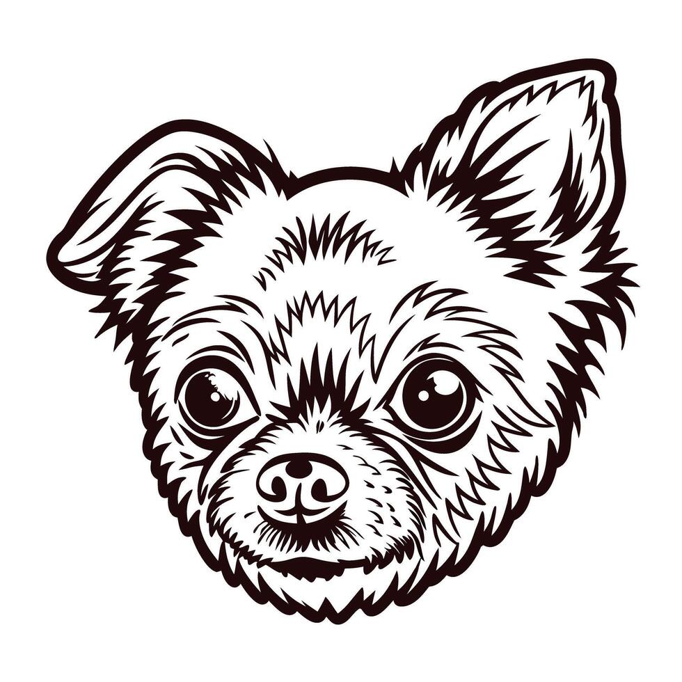 Chihuahua dog with detailed fur and lively expression in monochrome design vector