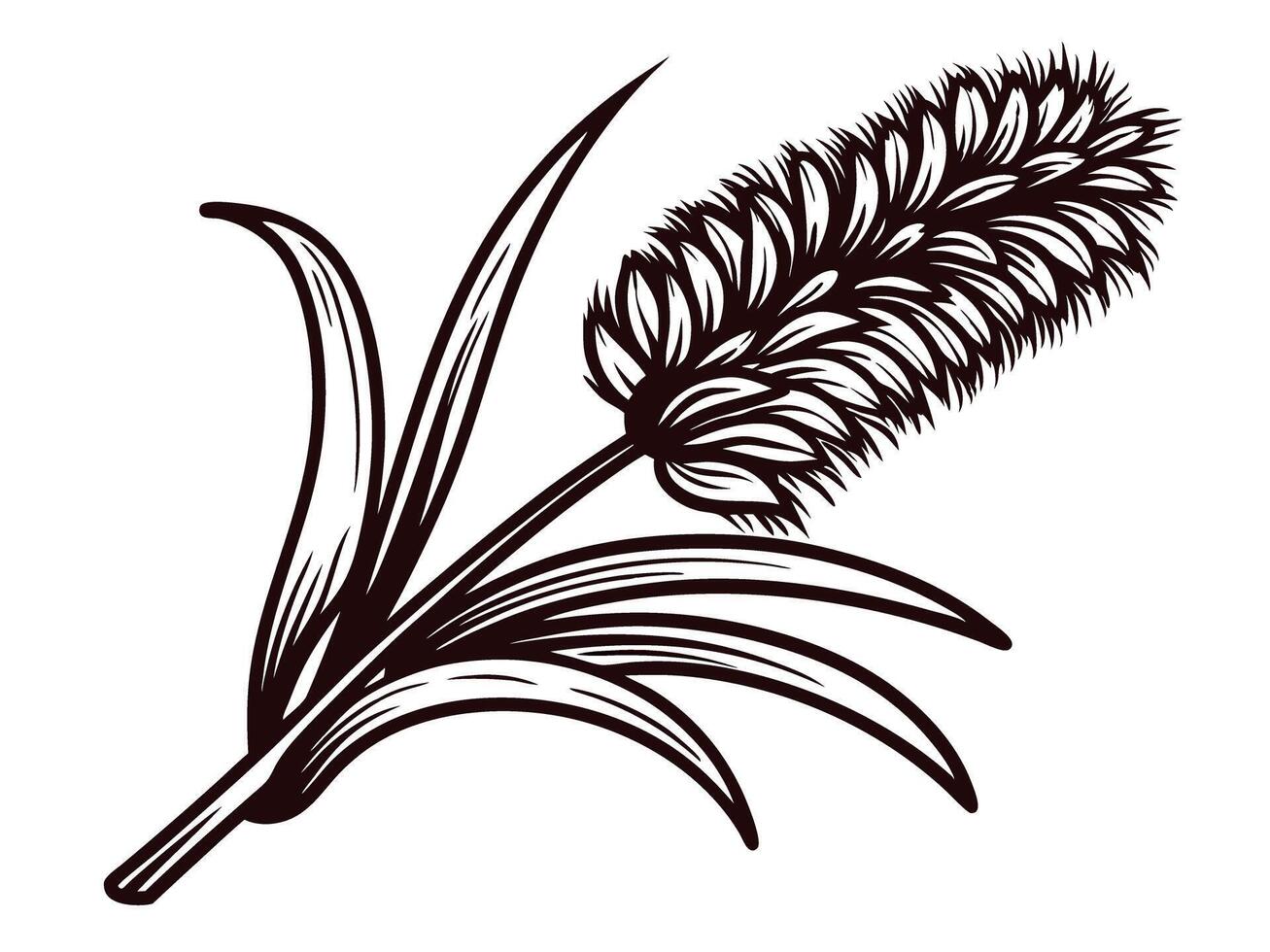Detailed of a foxtail grass plant with intricate leaf patterns vector