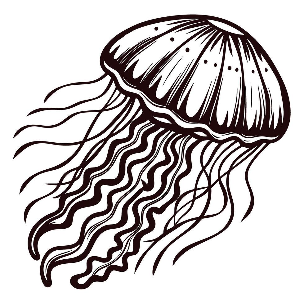Intricate jellyfish line art with flowing tentacles vector