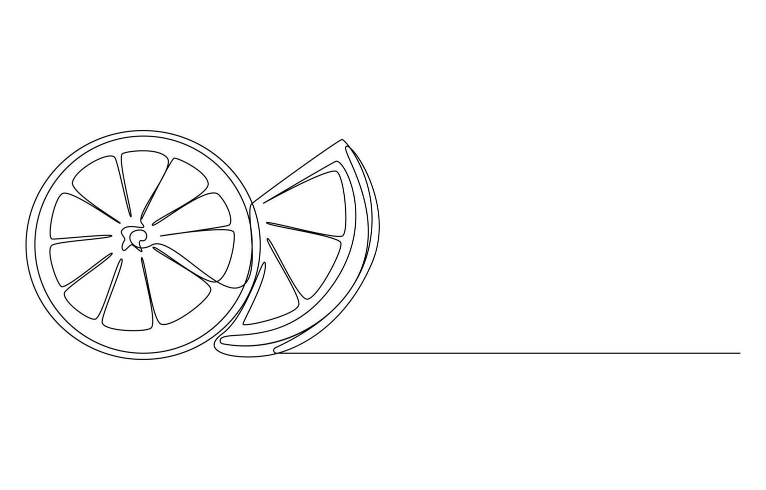 Orange Slices A Single Line Drawing of Citrus Fruit vector