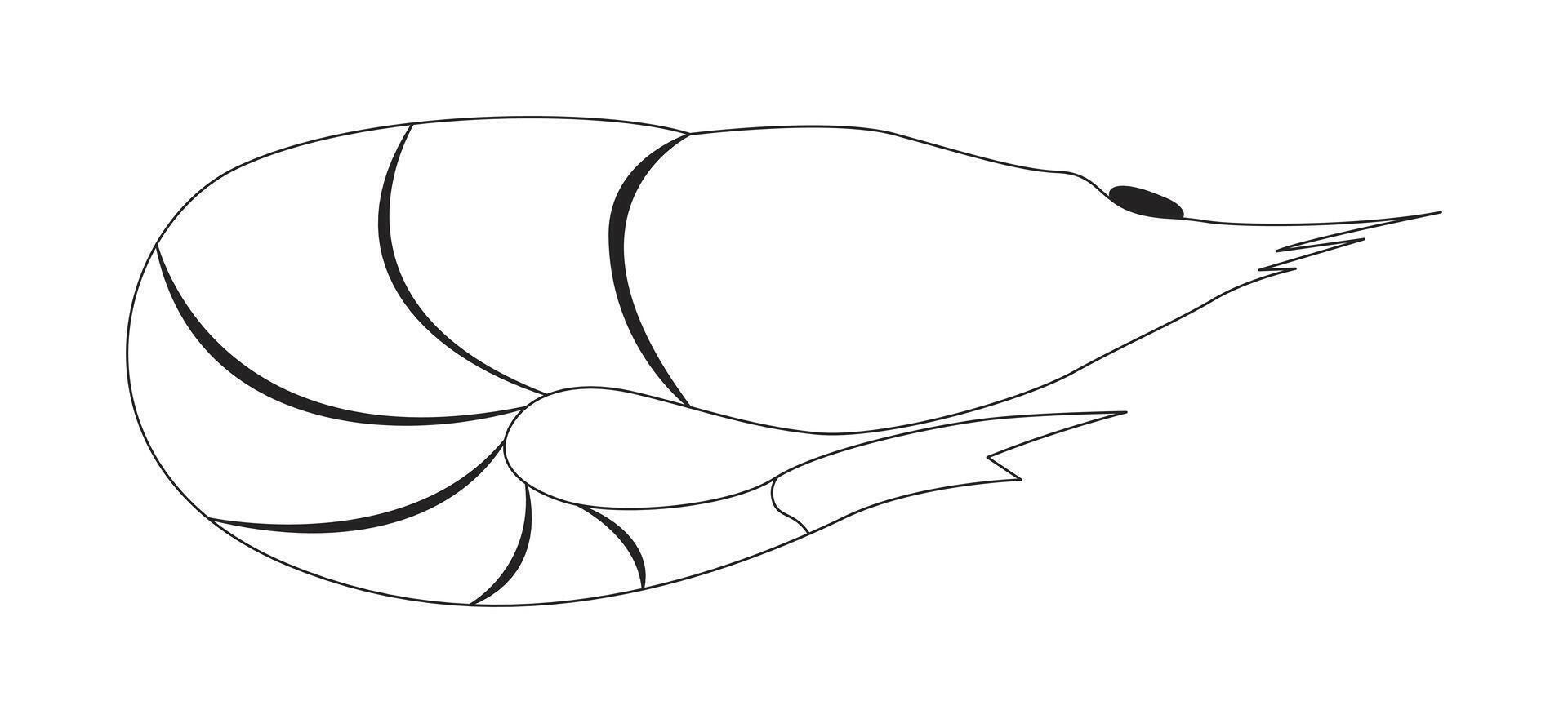Whole orange shrimp in curled position 2D line object. Raw seafood crustacean. Shellfish prawn. Sea creature. Marine ingredient isolated clipart ink outline item. Monochrome spot illustration vector