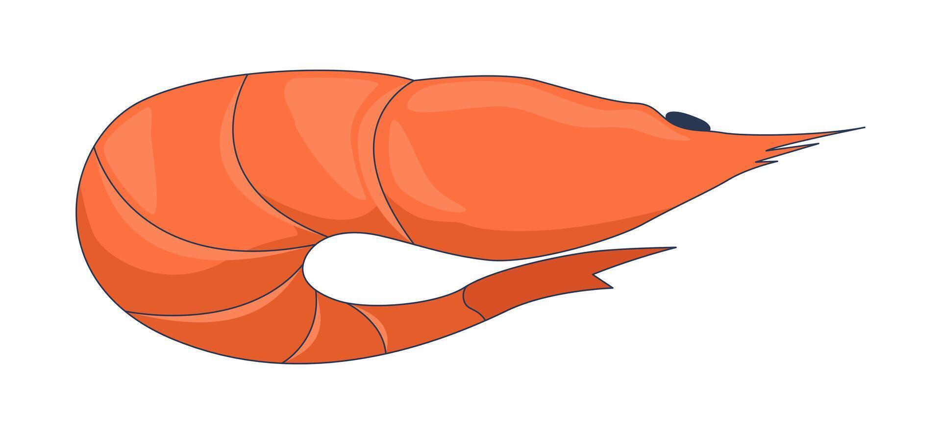 Whole orange shrimp in curled position 2D cartoon object. Raw seafood crustacean. Shellfish prawn. Sea creature. Marine ingredient isolated element flat clip art on white. Spot illustration vector
