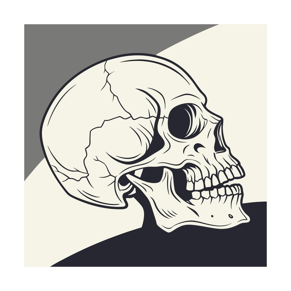 A detailed line art illustration of a human skull in profile view, showcasing its anatomical features. The style is vintage, black and white, with a graphic design aesthetic. vector