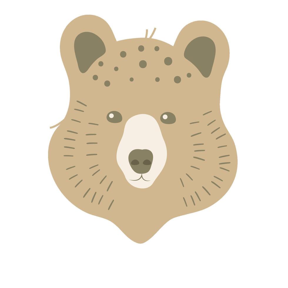 bear flat icon vector