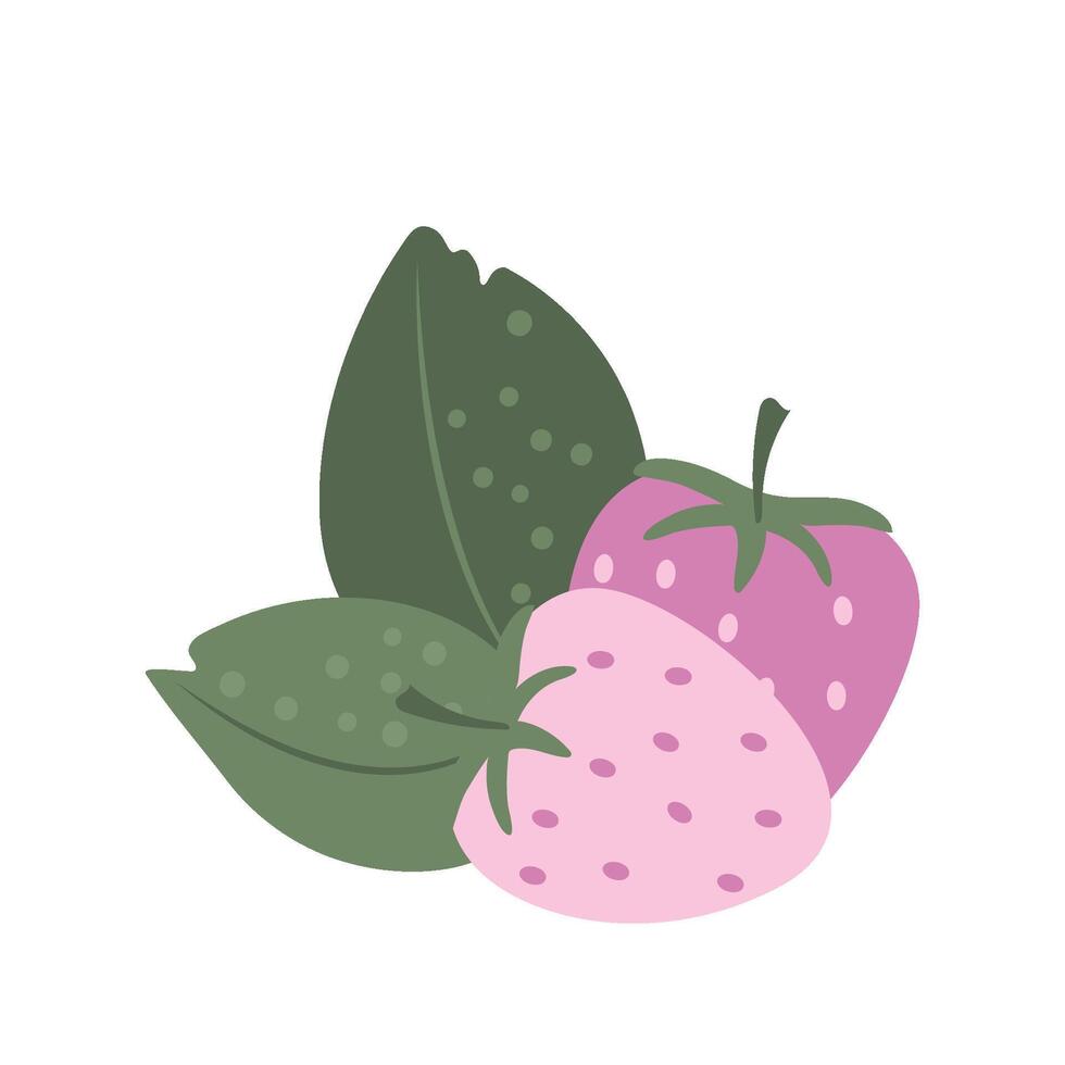 flat icon berry vector