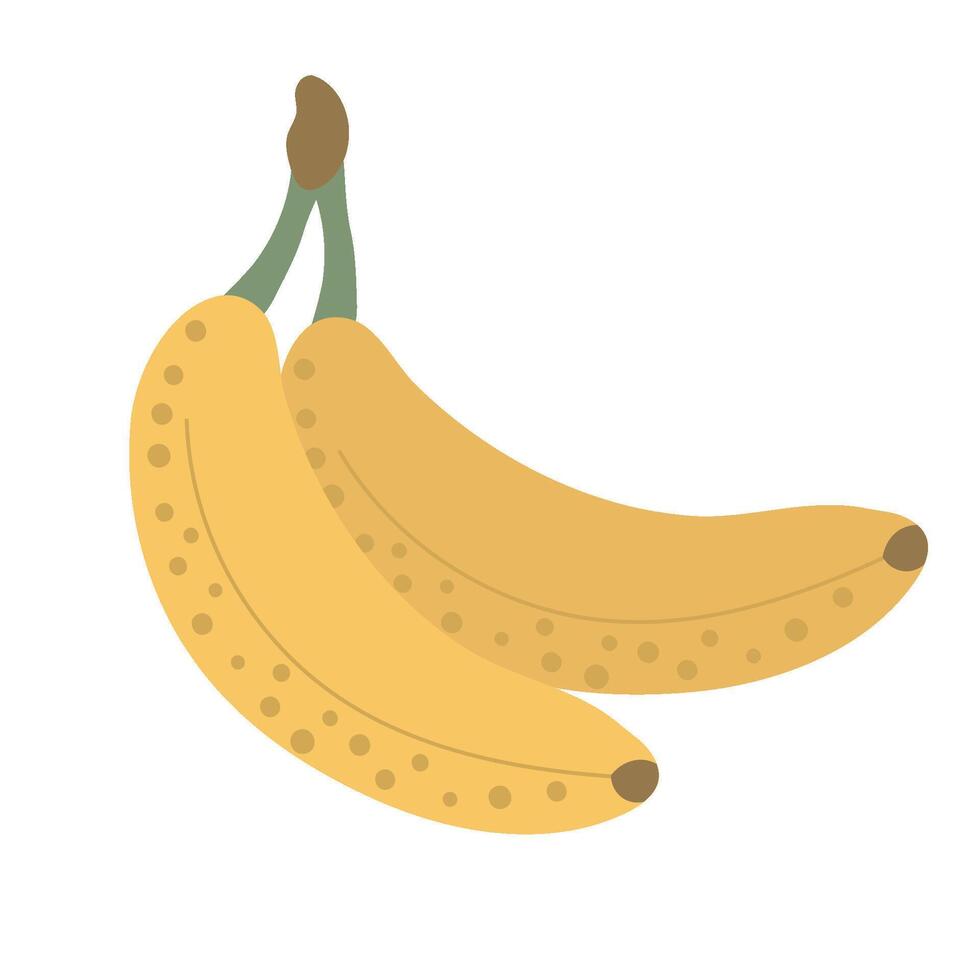 bananas flat icon vector