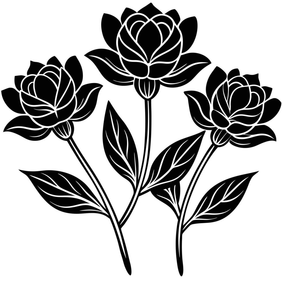 Elegant black and white floral illustration featuring three beautiful blooming lotus flowers vector