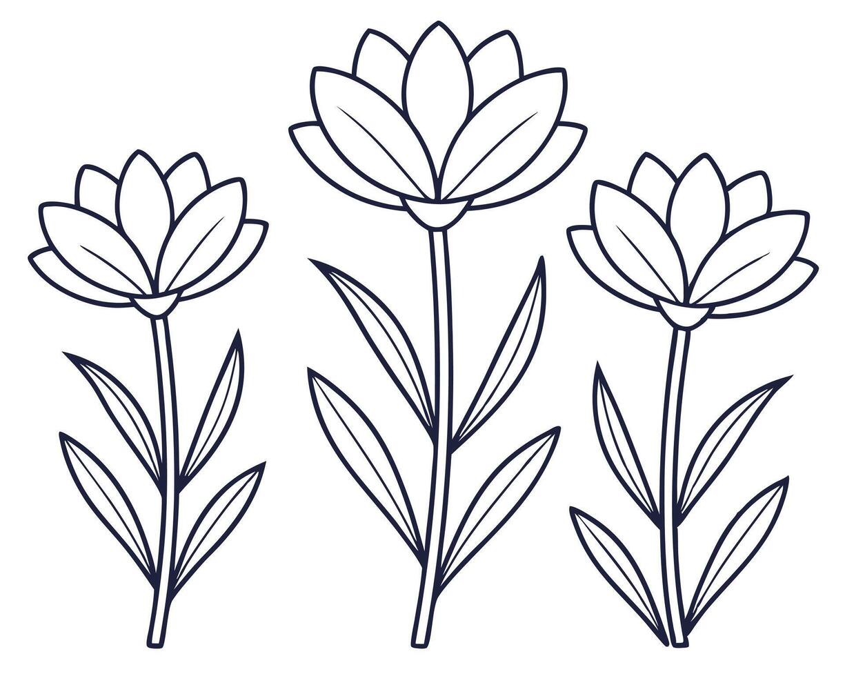 Simple outline illustration of three elegant stylized flowers with long stems and leaves vector