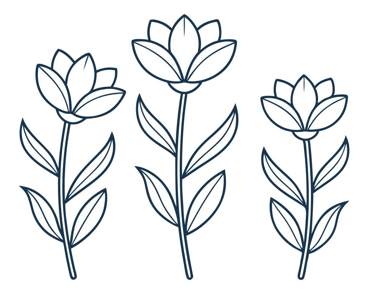Simple line art illustration of three elegant flowers on a clean white background vector