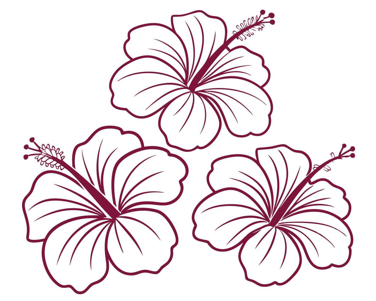 Beautiful three hibiscus flowers design in a flat and linear style for floral decoration. vector