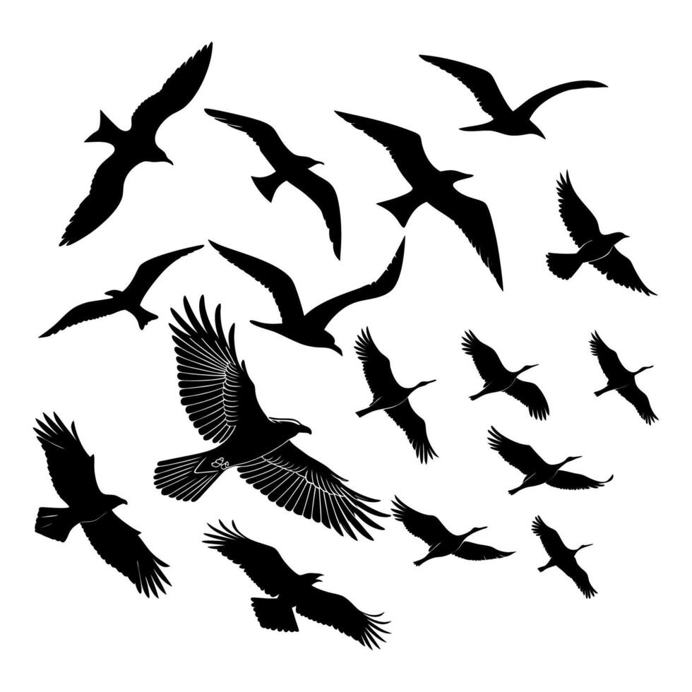 Flying Bird Silhouette vector