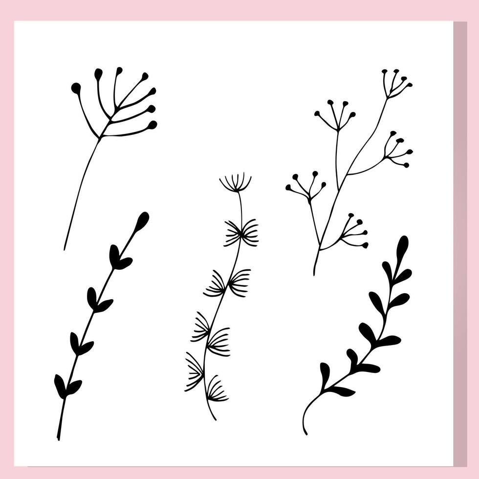 Minimalist Botanical Branches Silhouette Set vector