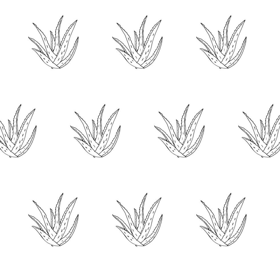 Hand drawn aloe vera seamless pattern vector