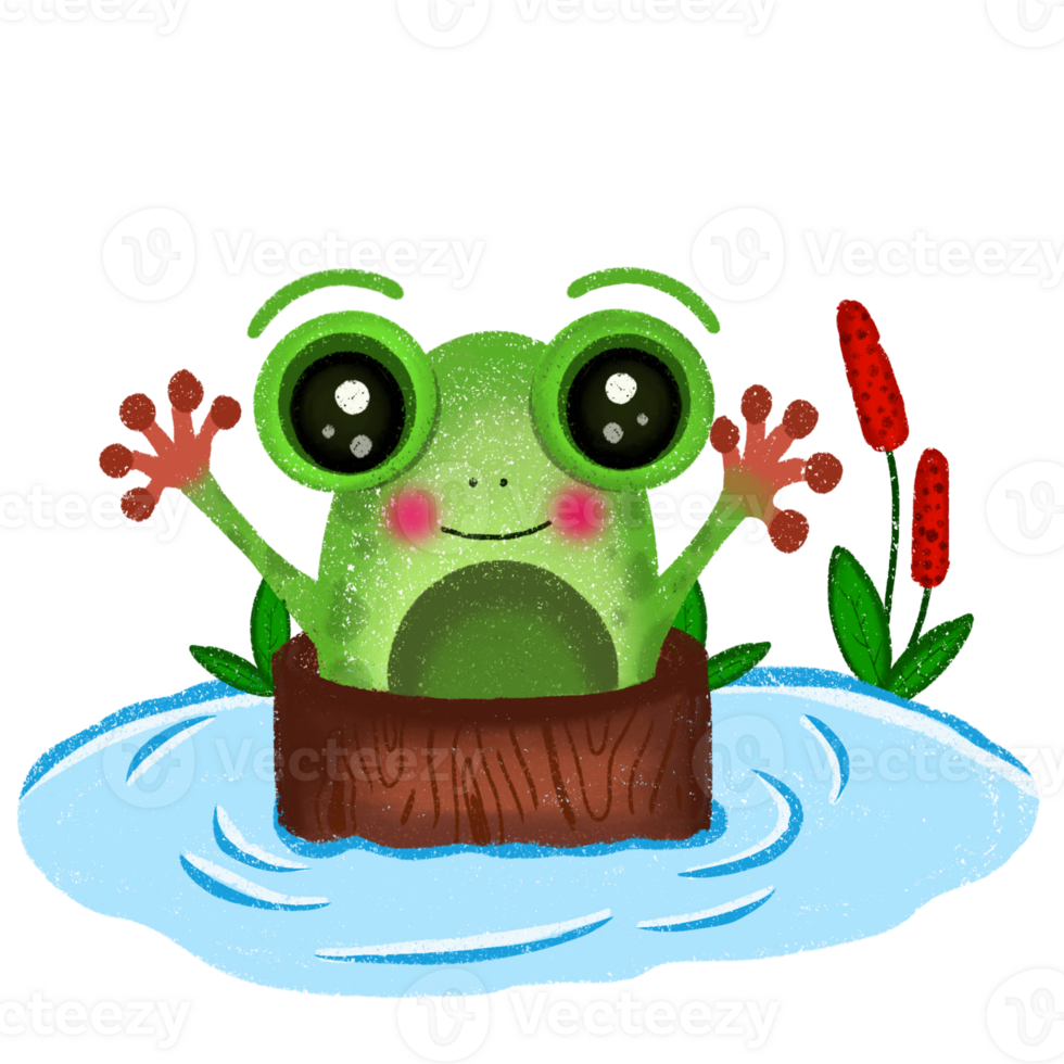 Cute frog in a pond illustration png