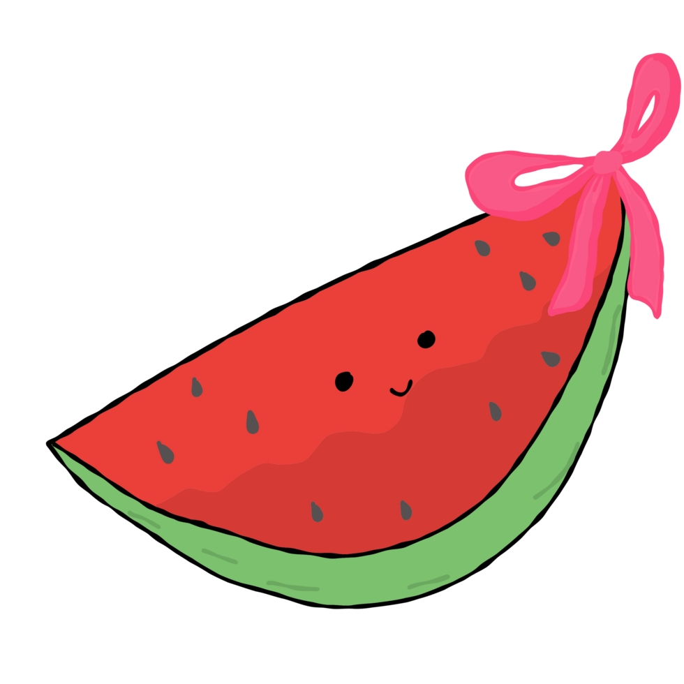 Cute watermelon red bow coquette hand drawn illustration png