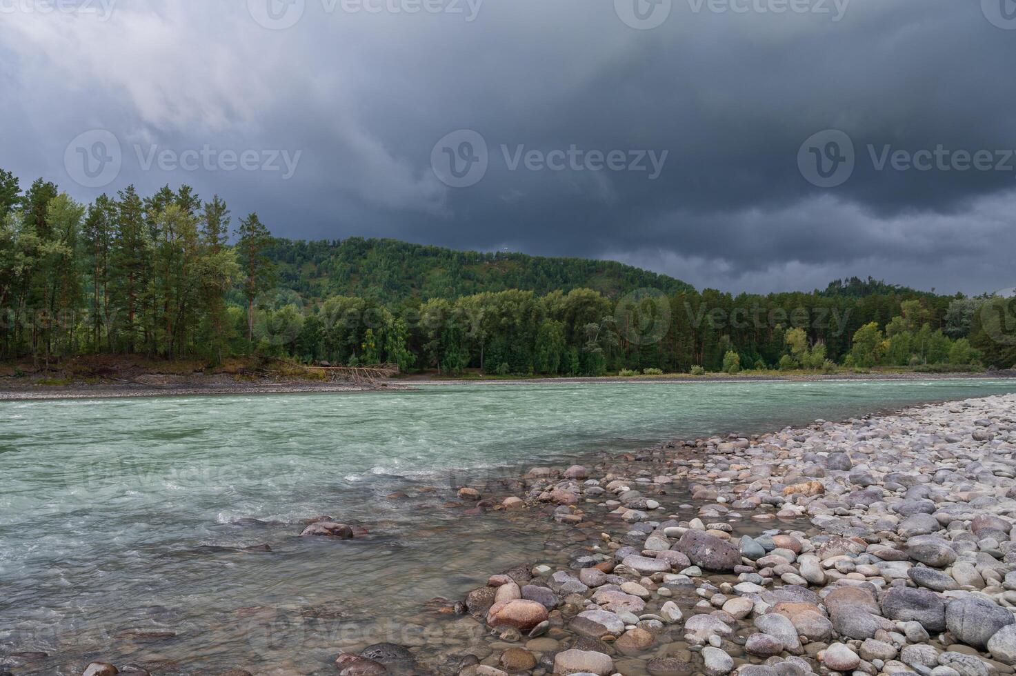 Fast mountain river Katun in Altay, Siberia, Russia. Cloudy skies before the rain photo