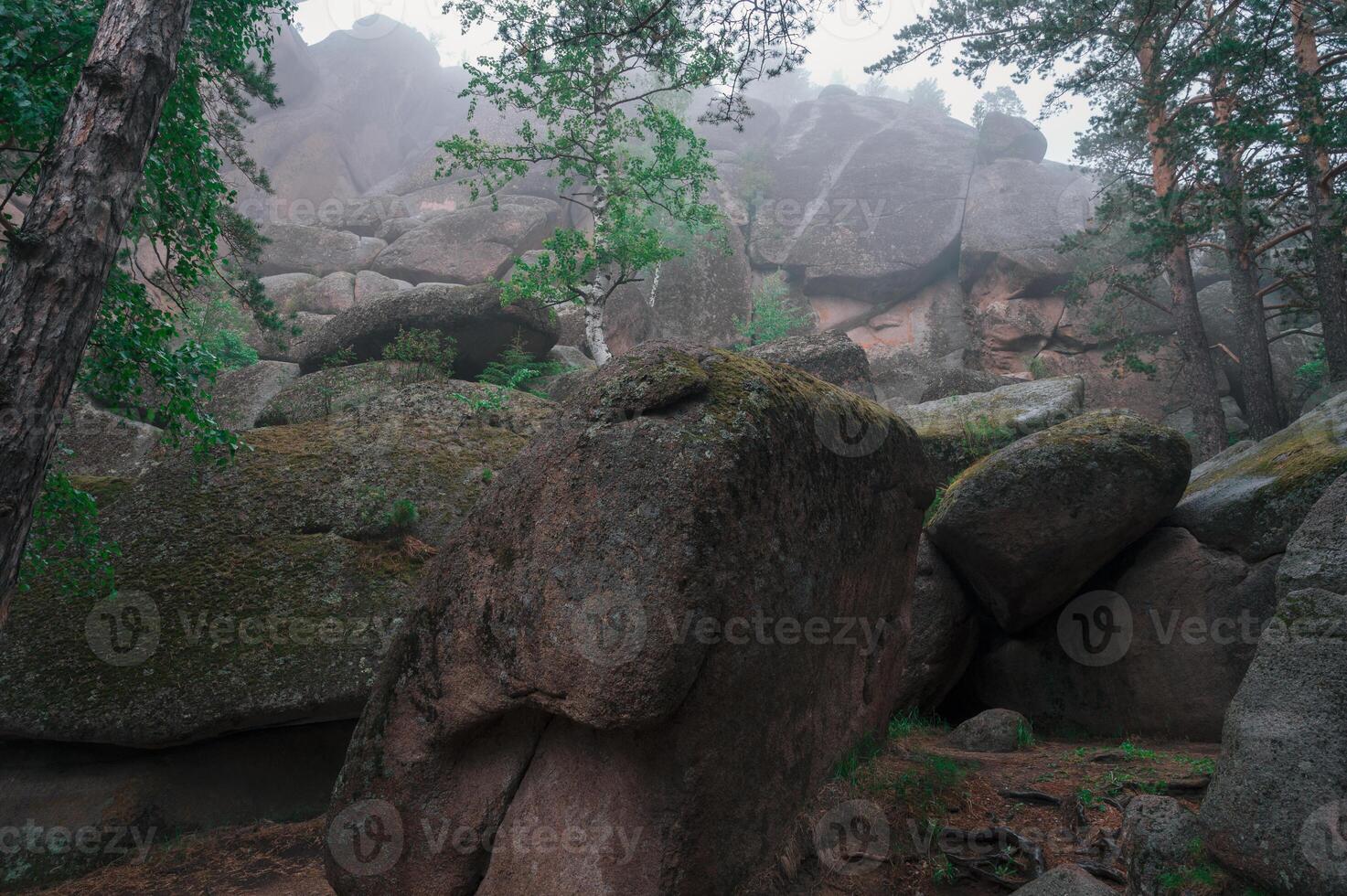 Taiga forest and rocks of the Stolby nature reserve park, Krasnoyarsk, Russia photo