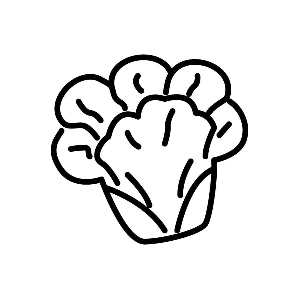 Spreading lettuce leaves line icon vector