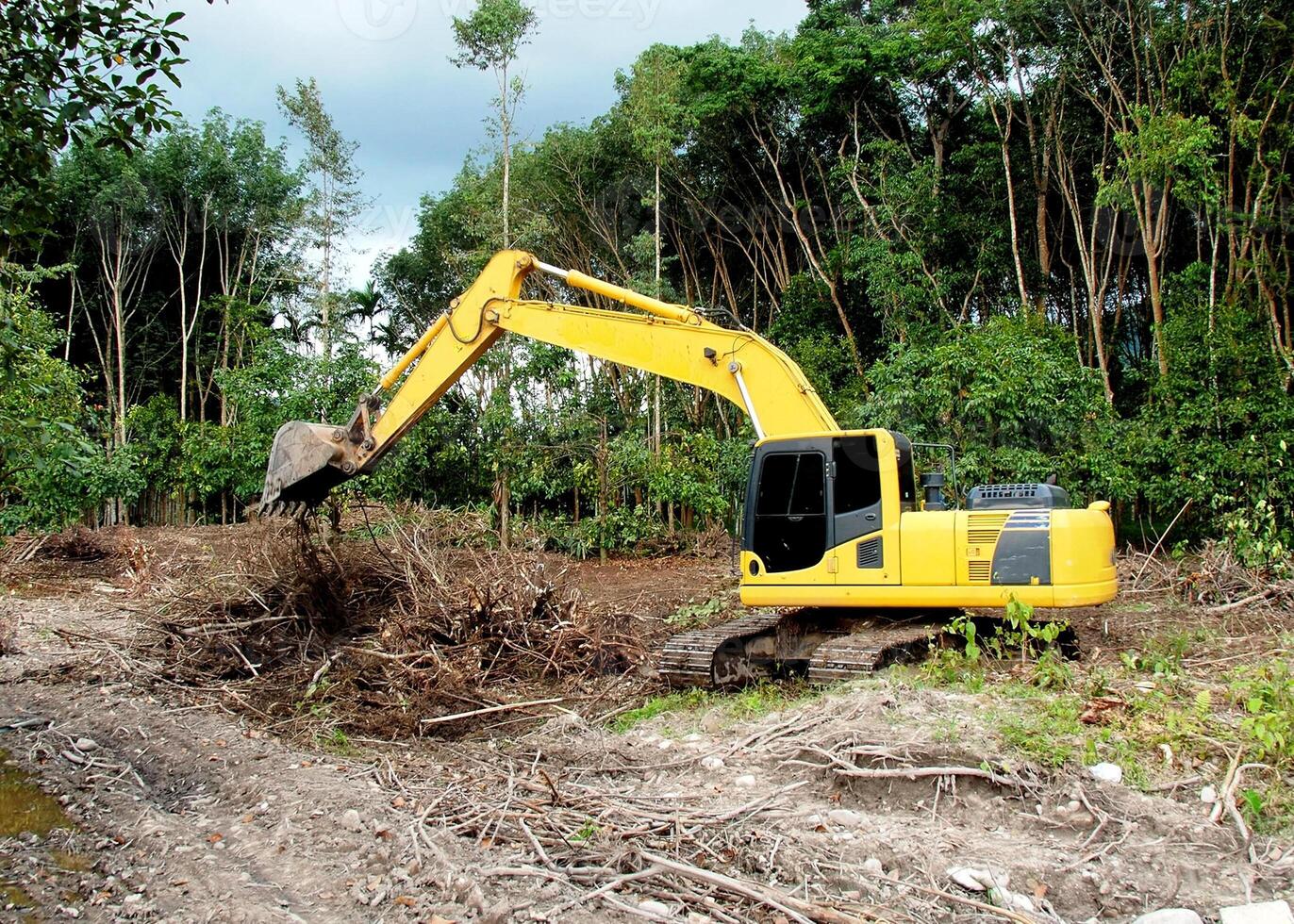 Yellow Excavator Clearing Land in Forested Area for Construction or Development Project photo