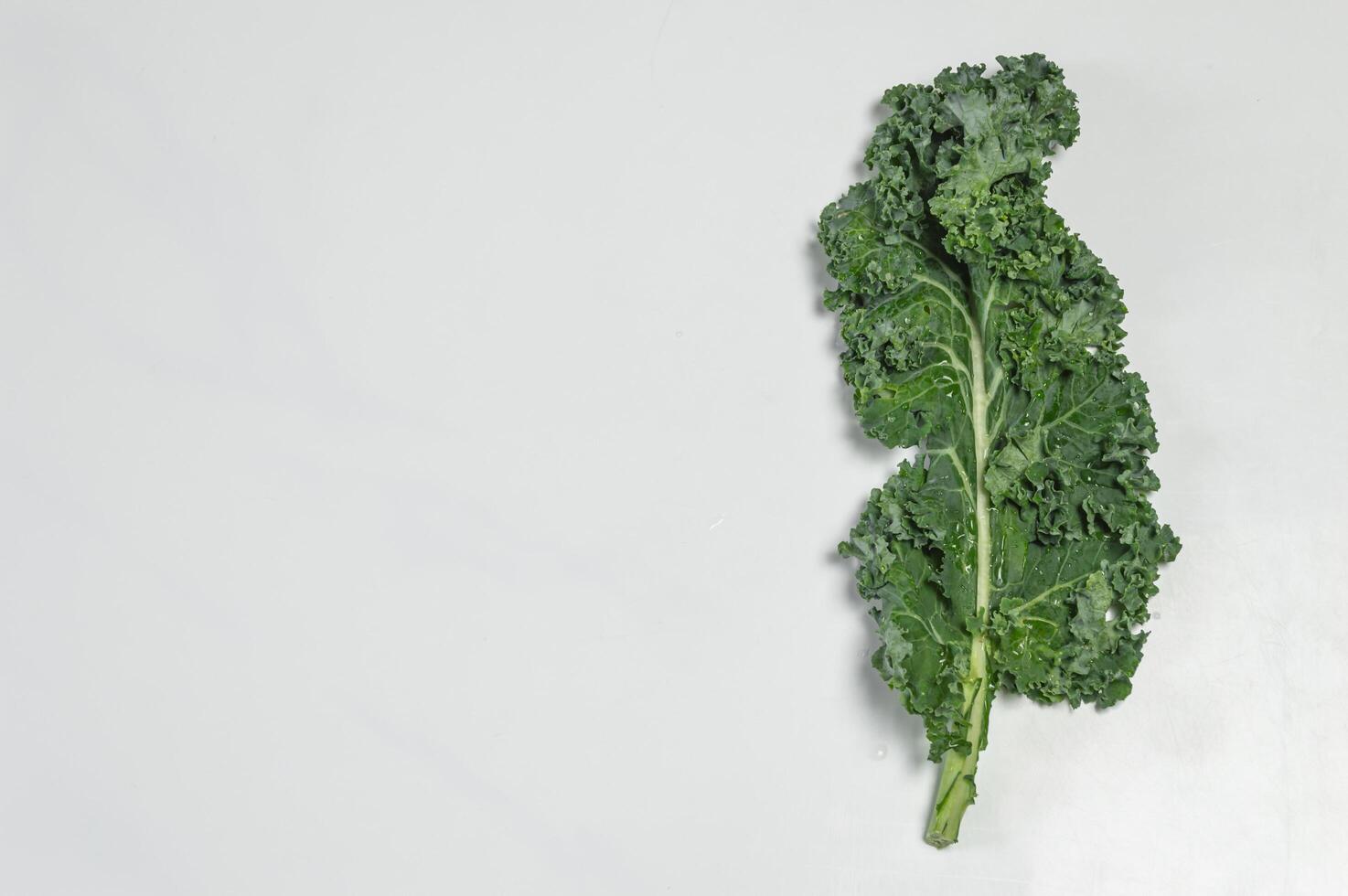 a single green leaf of kale on a white surface photo
