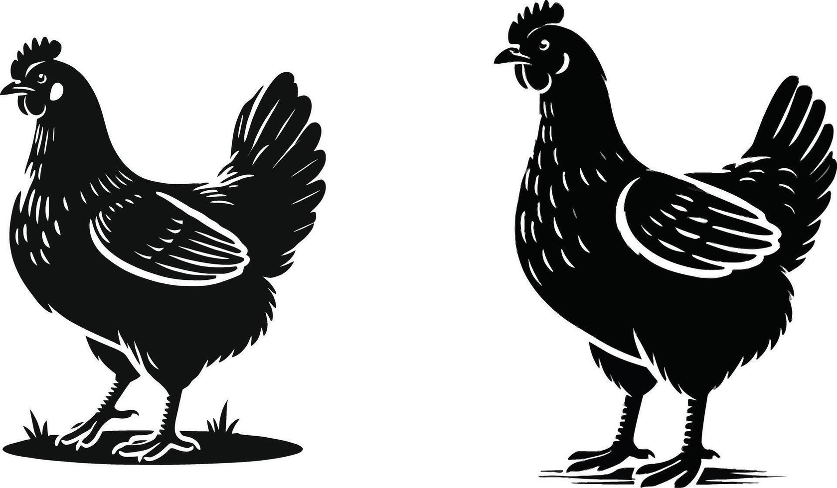 black and white illustration of a chicken vector