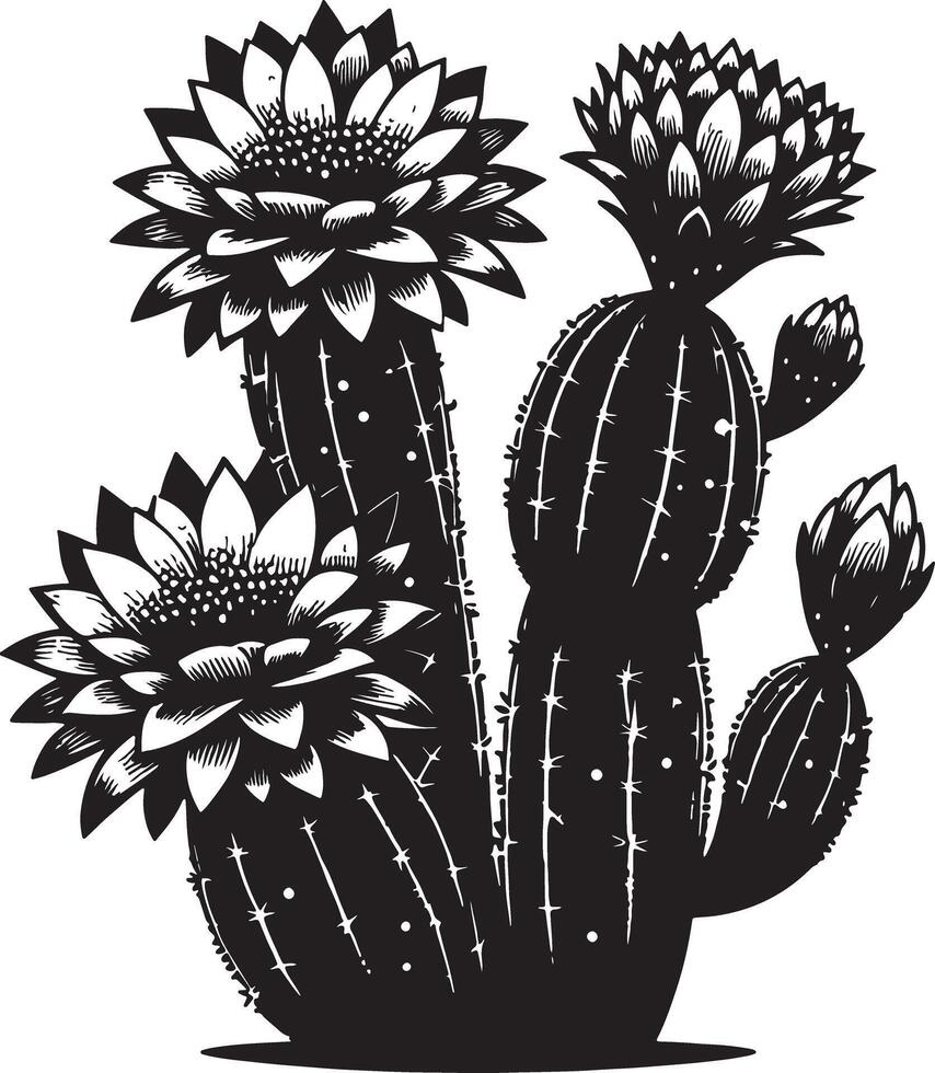 A black and white illustration of a cactus with three large flowers on a white background vector