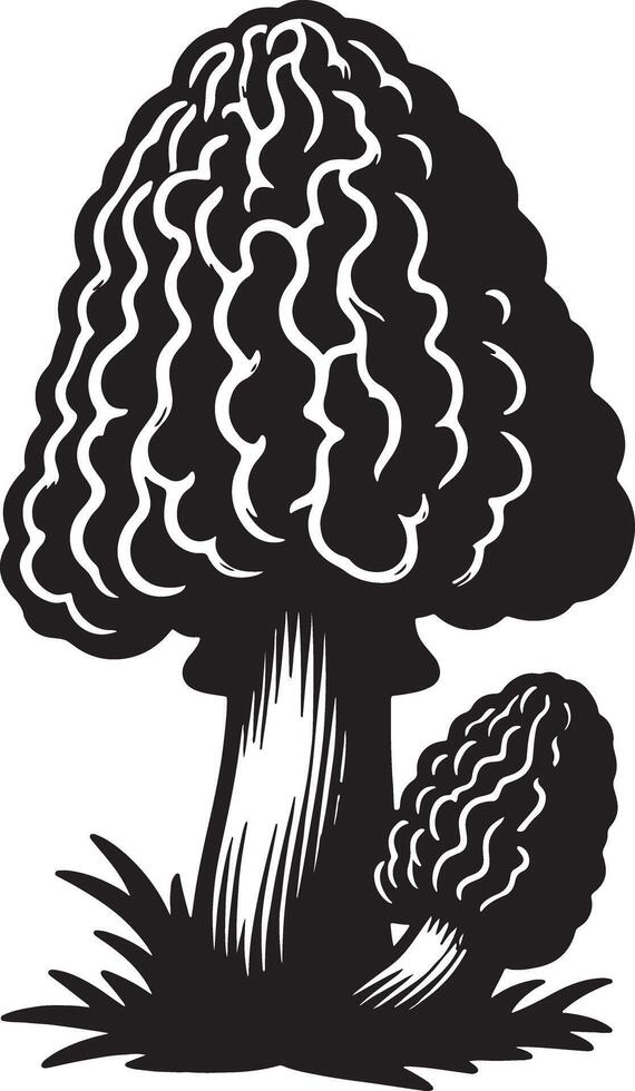 Black and white illustration of two morel mushrooms with textured caps and short grass vector