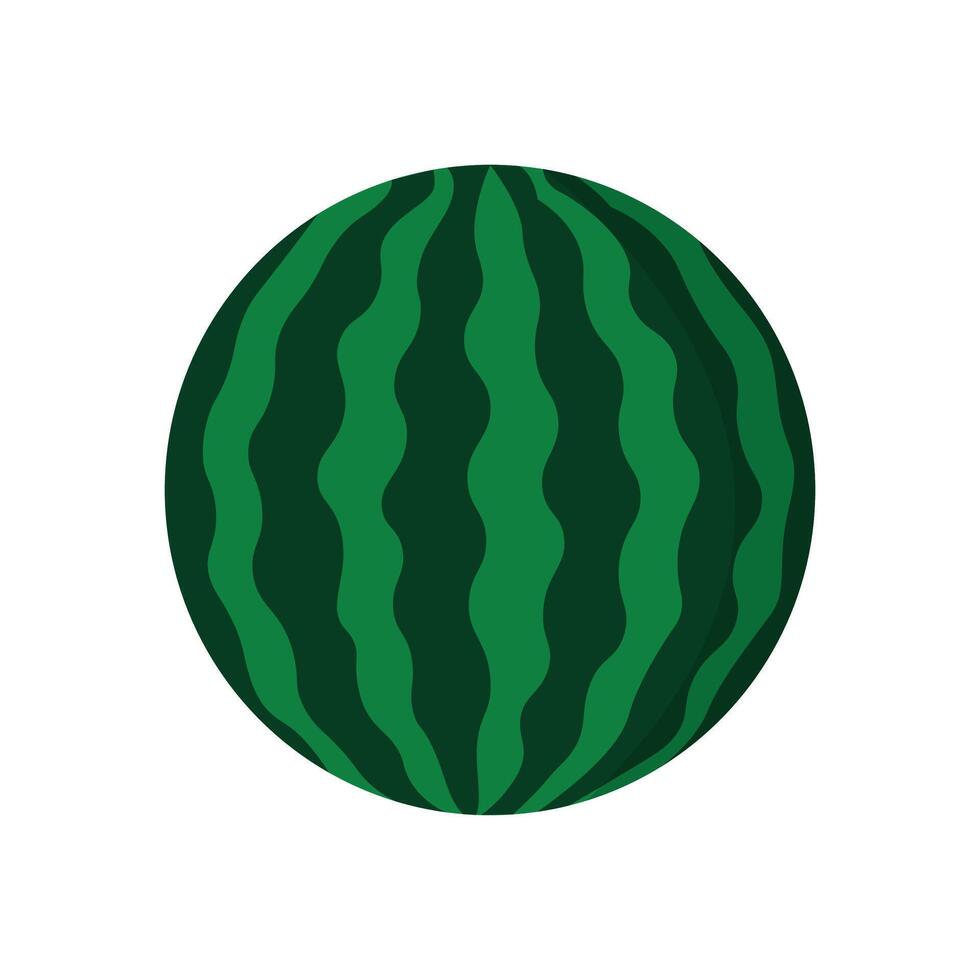 Whole watermelon flat illustration with striped green skin vector