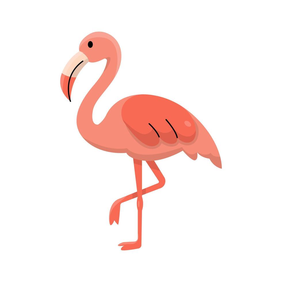 Cute Cartoon Flamingo Standing on One Leg Illustration vector