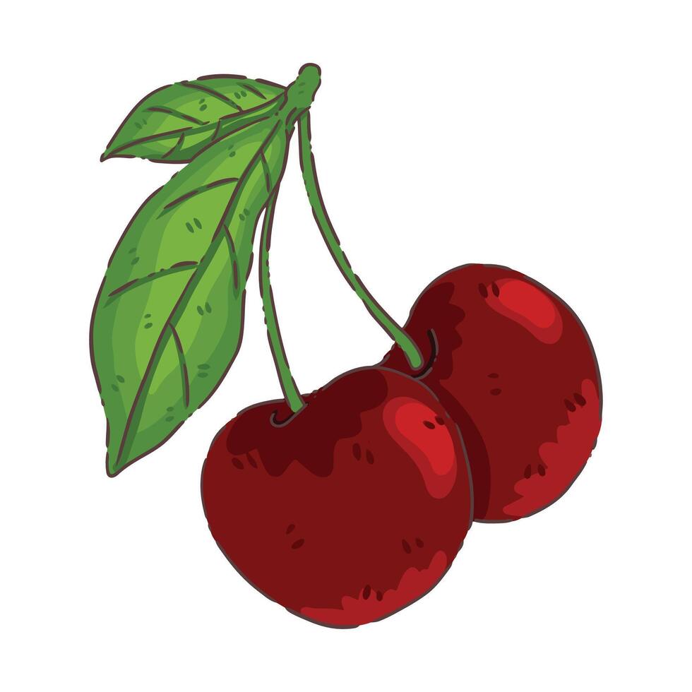 cheery fruit food vector