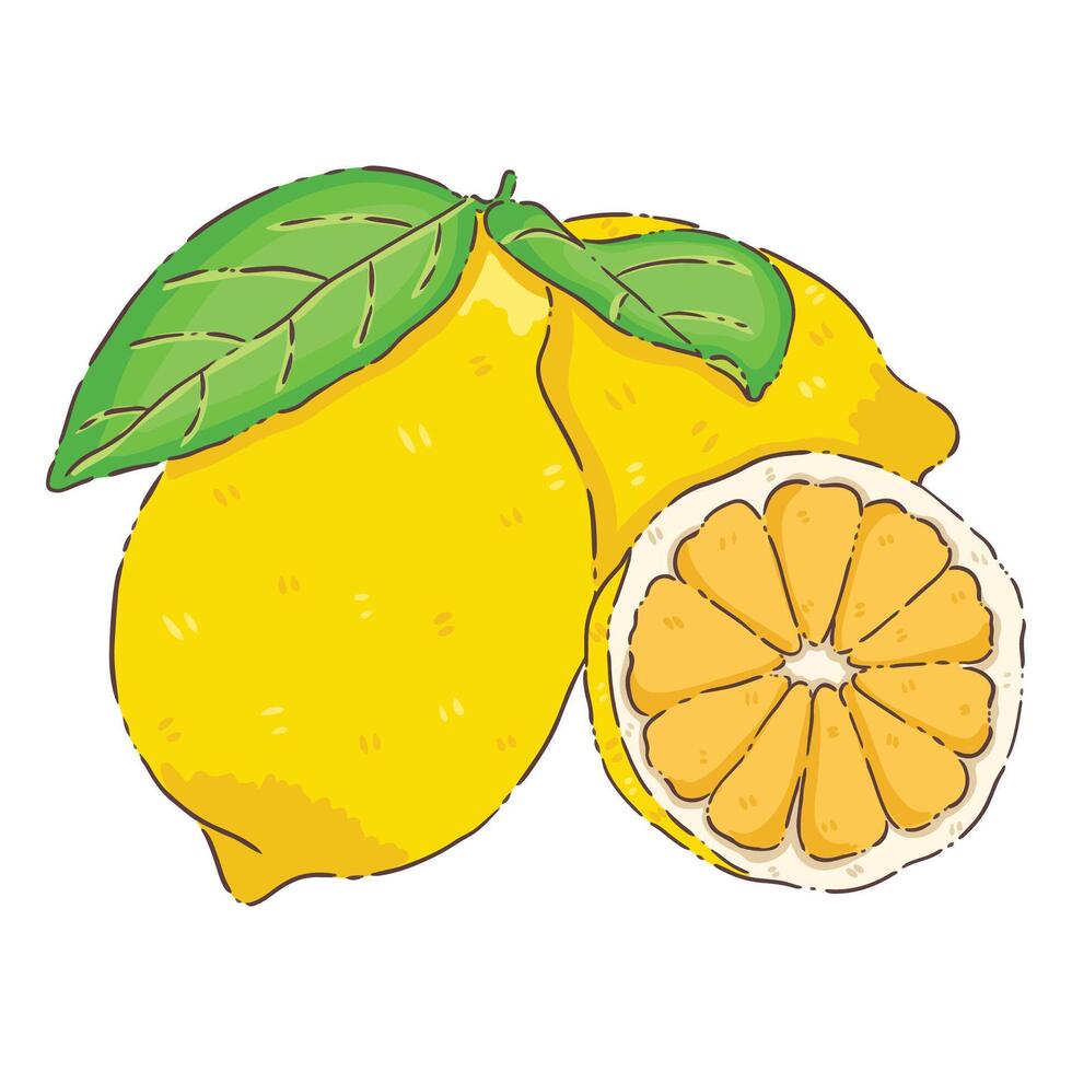 lemon fruit isolate vector