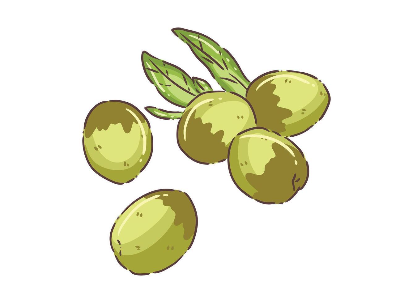 Olive fruit food vector