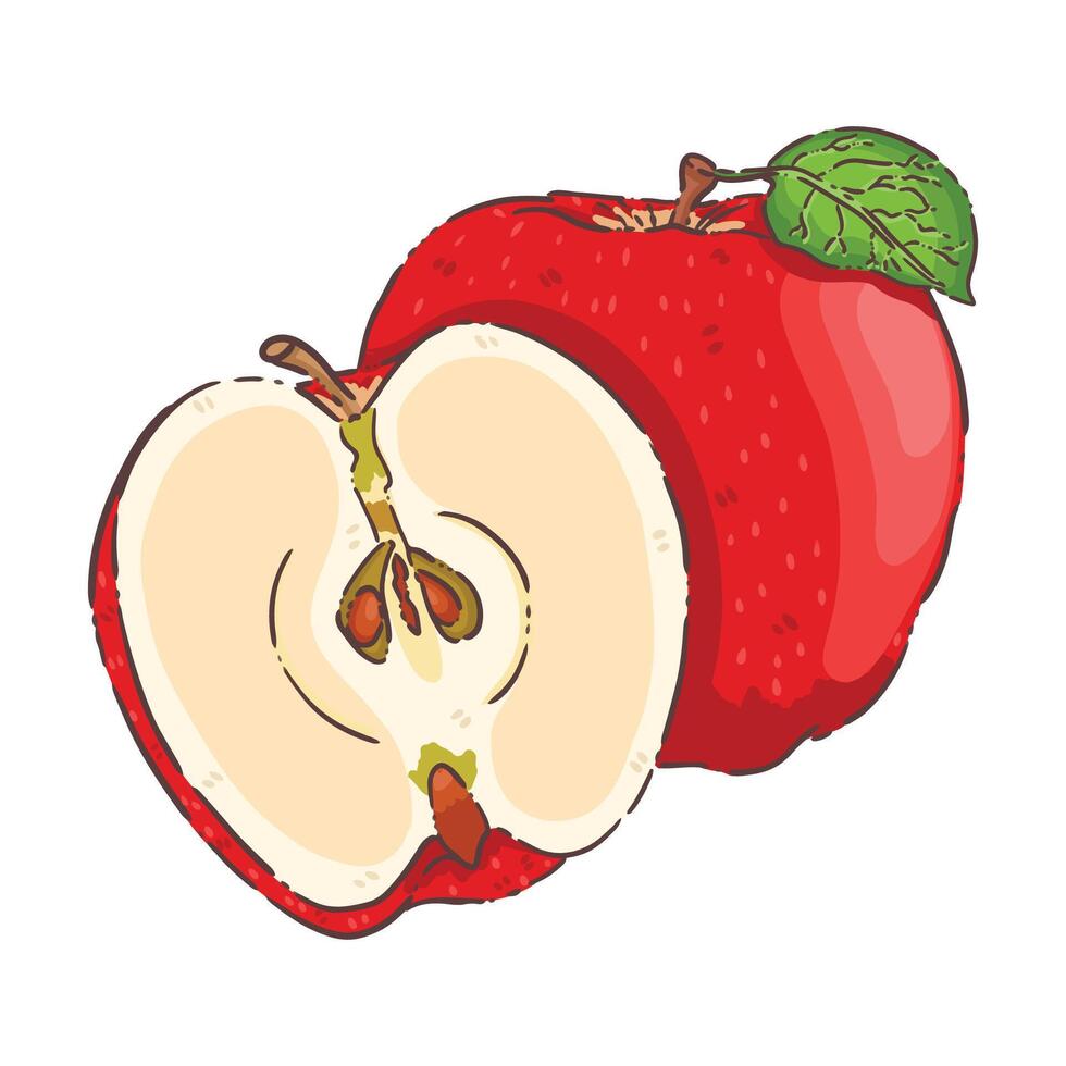 apple fruit vecter vector