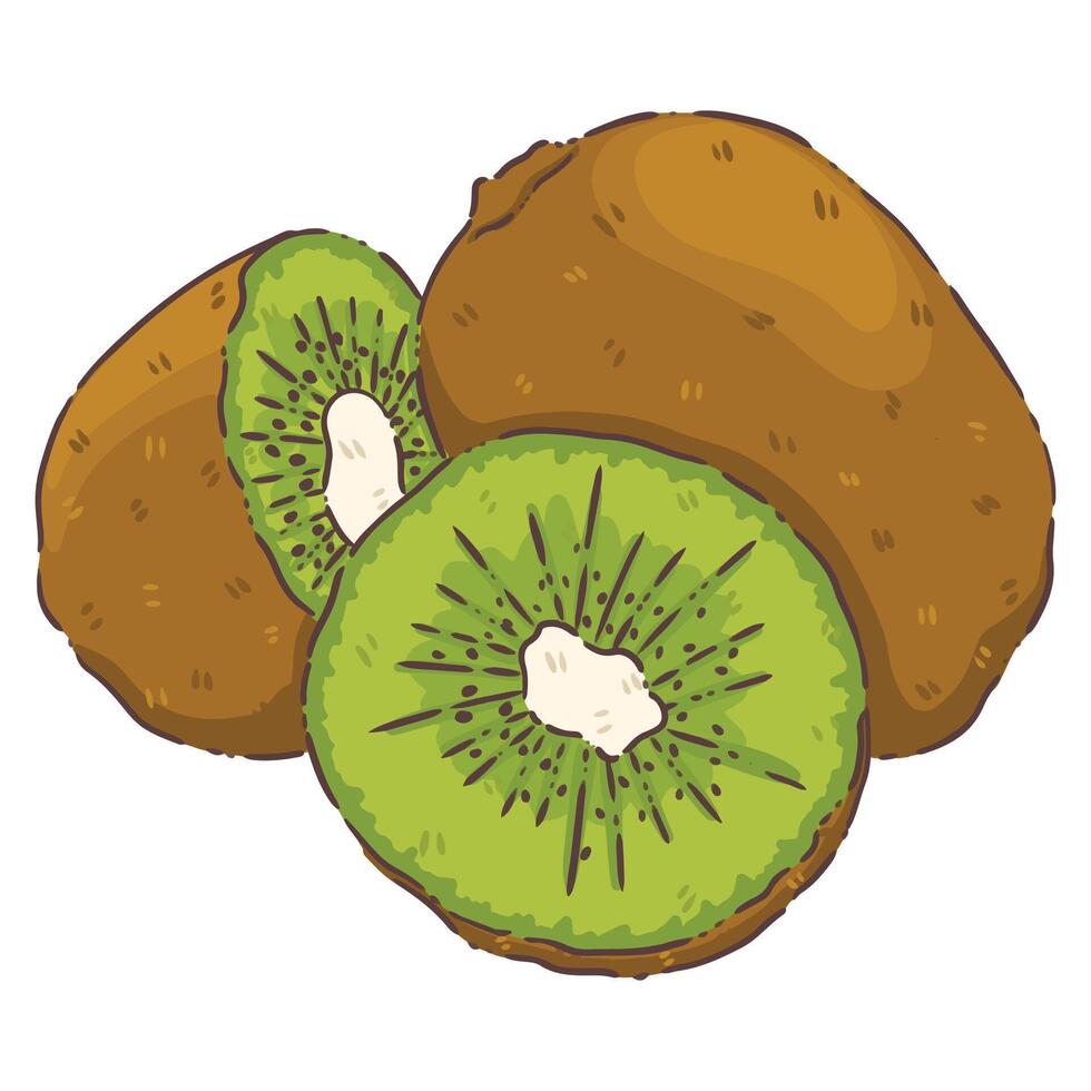 kiwi fruit food vector