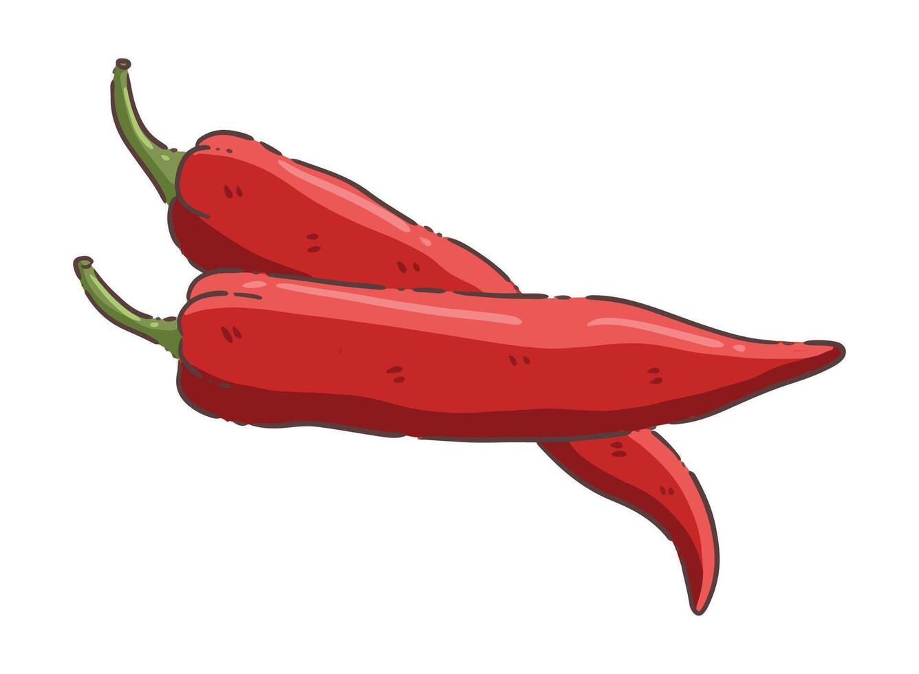 chili vegetable food vector