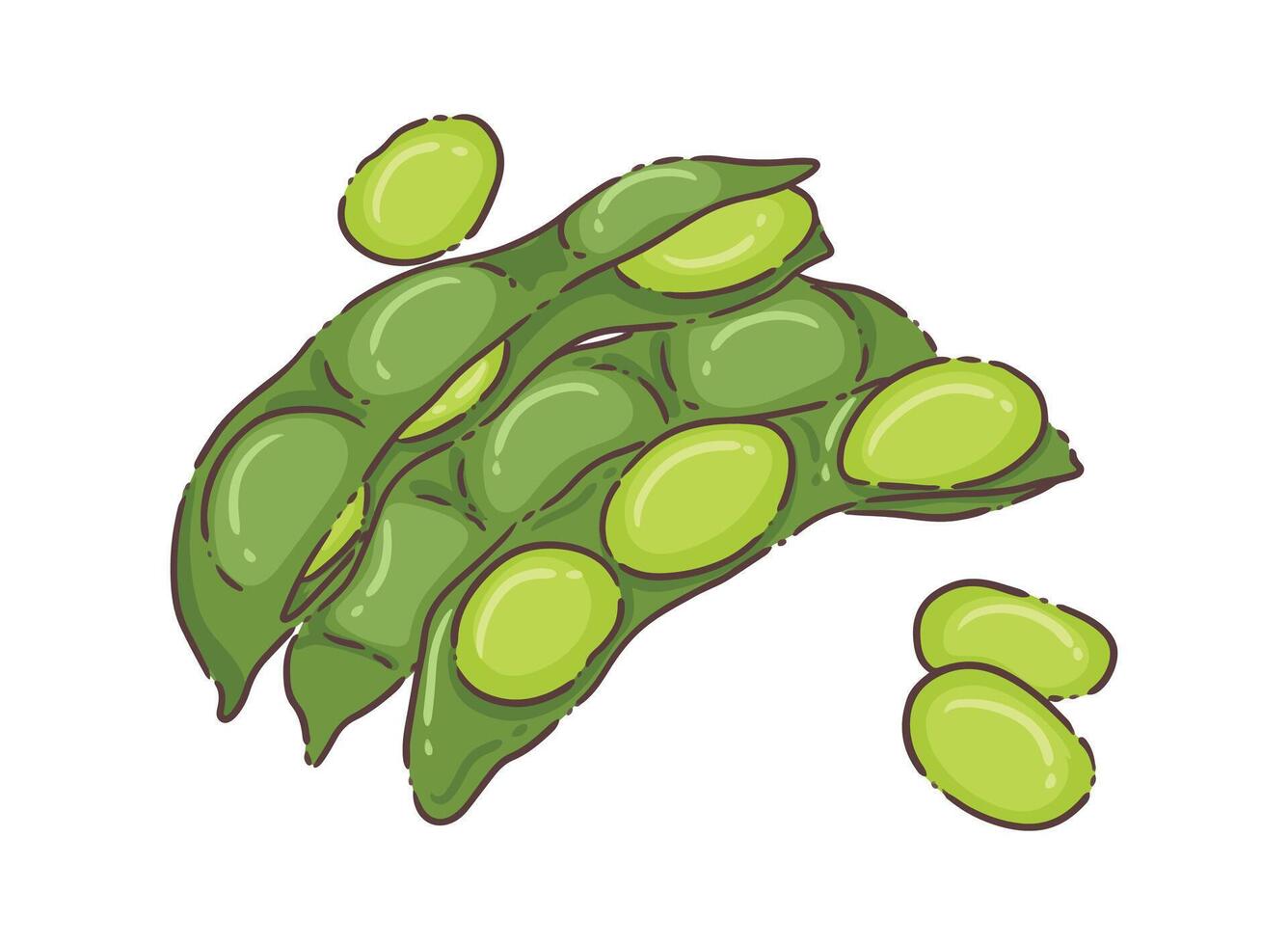 green peas food vegetable vector